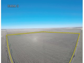 <b>Four 160+/- dryland farms.</b>  Farms are located 10 - 13 miles north of Elkhart, Kansas near Hwy 27 and are all within a four mile radius.  A full due diligence package that includes title information, production data, check stubs, soil maps, aerials and more is available for your review on the company website.

<b>Farm 1:  160+/- surface acres</b> located at the intersection of Hwy 27 and Q Road.  Level topography, highway frontage and primarily Wagonbed Silty Clay Loam soils.

<b>Farm 2:  160+/- surface acres</b> located one mile east of Hwy 27 along Q Road.  Level topography, easy access to the highway and Wagonbed Silty Clay Loam soils.

<b>Farm 3:  160+/- surface acres</b> located 2.5 miles east of Hwy 27 along N Road.  Good access and approximately 81% Ulysses Silt Loam soils.

<b>Farm 4:  160+/- surface acres</b> located 1.5 miles east of Hwy 27 along M Road.  Farm has easy access from the highway and is approximately 60% Ulysses Silt Loam soils.  - 4 Separate Farms - Quality Soils